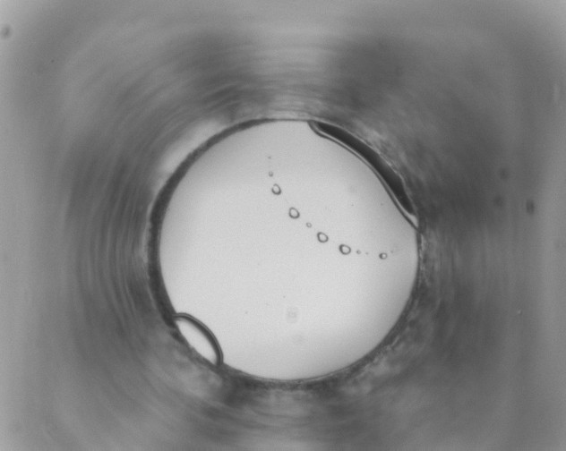 X0000089420292200707061325