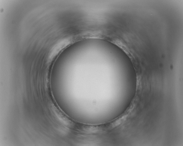 X0000089420293200707061325