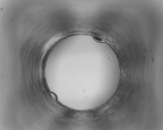 X0000089420294200707061325