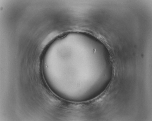 X0000089420295200707061325