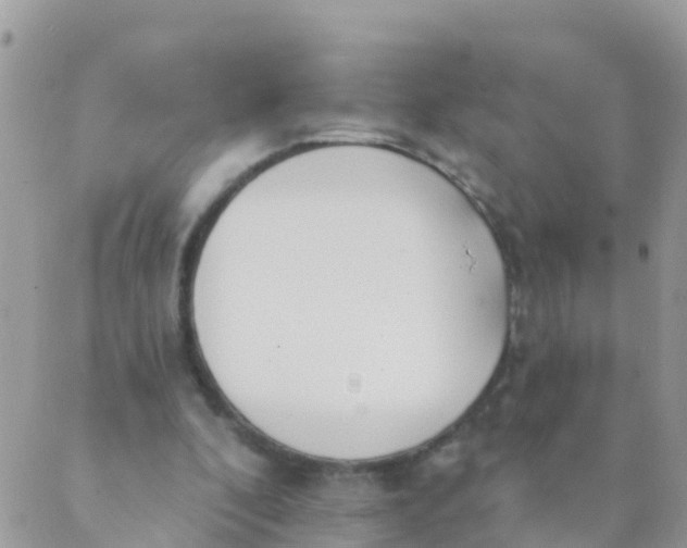 X0000089420296200707061325