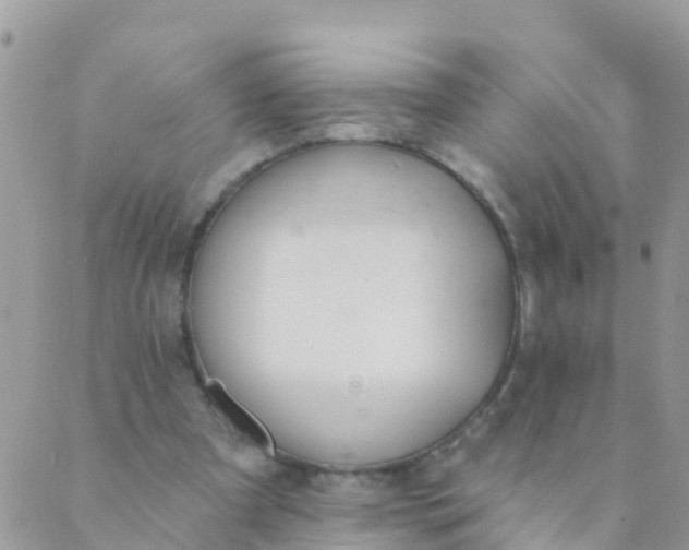 X0000089420297200707061325