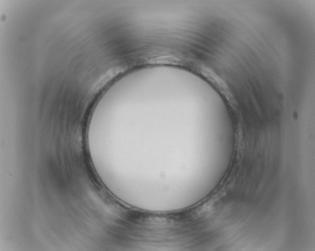 X0000089420298200707061325