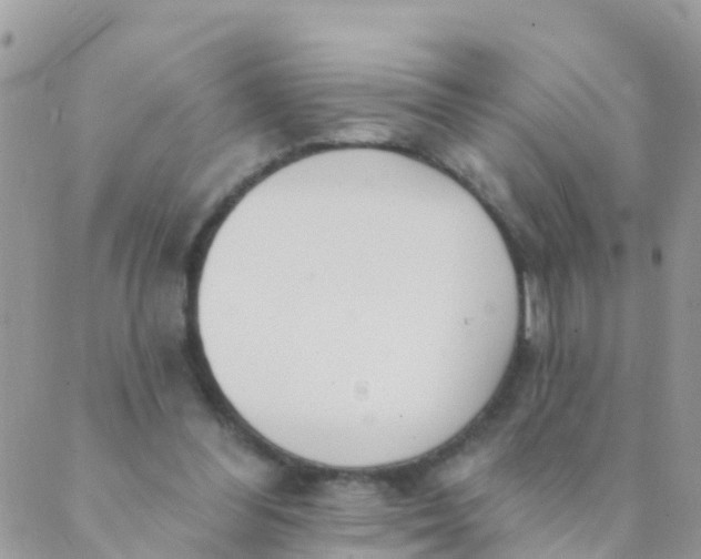 X0000089420300200707061325