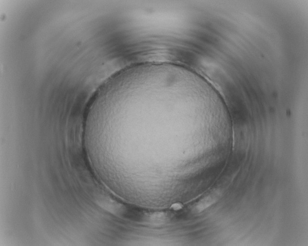 X0000089420301200707061325