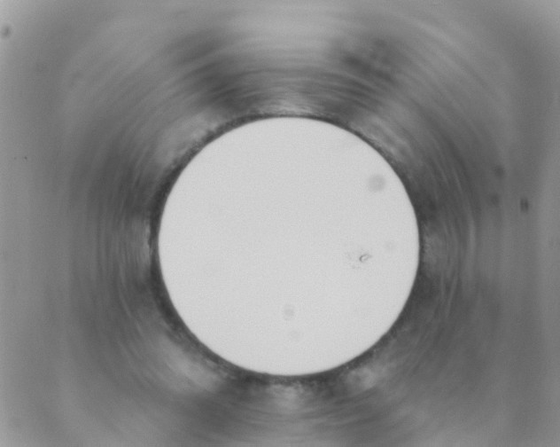 X0000089420302200707061325