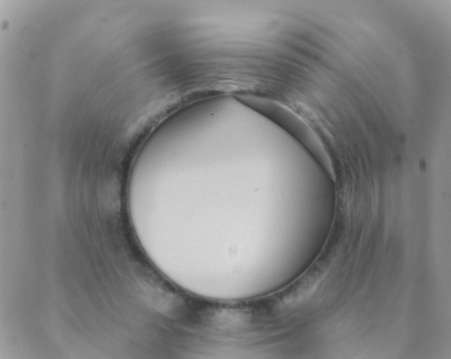 X0000089420303200707061325