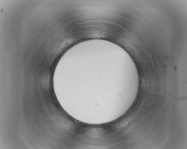 X0000089420304200707061325