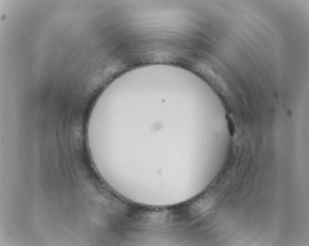 X0000089420306200707061325