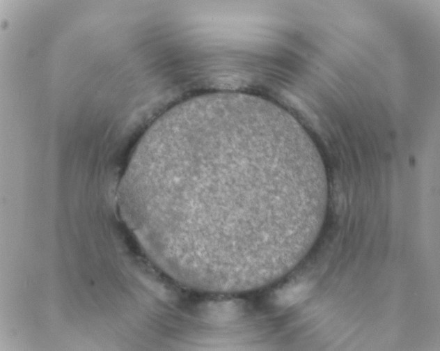 X0000089420307200707061325