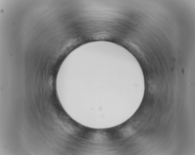 X0000089420308200707061325