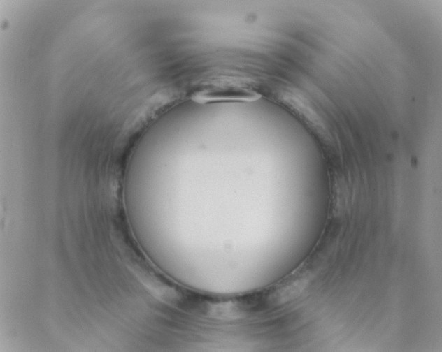 X0000089420309200707061325