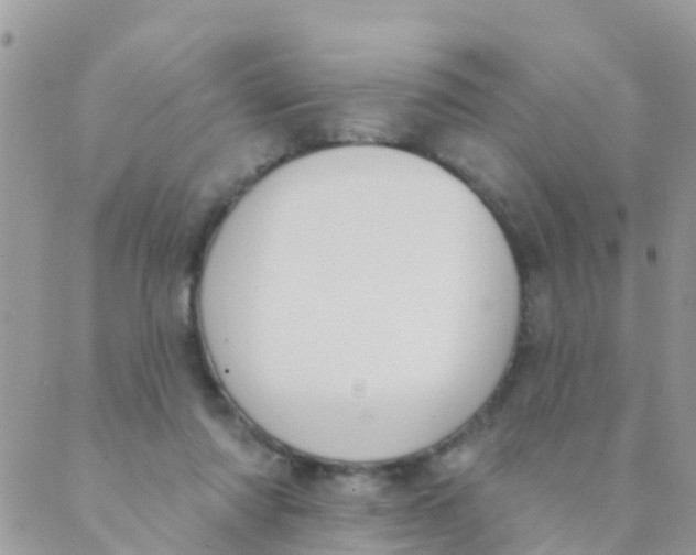 X0000089420310200707061325