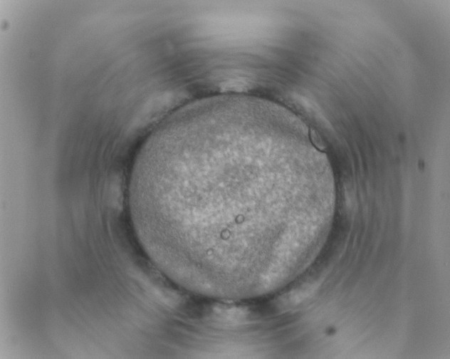 X0000089420311200707061325