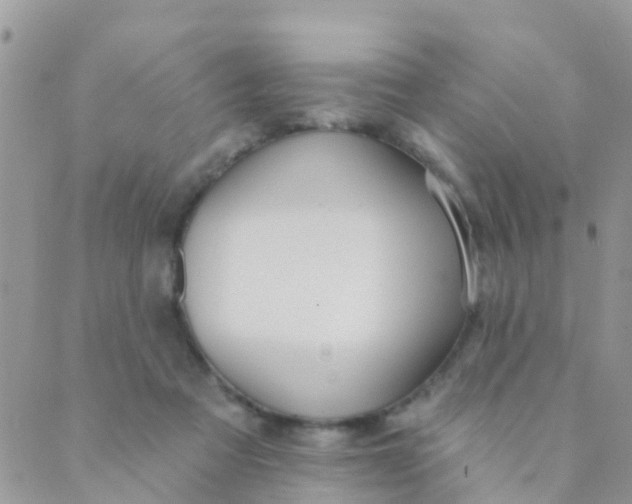 X0000089420313200707061325