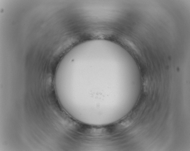 X0000089420314200707061325