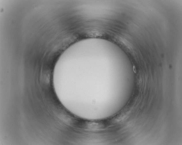 X0000089420315200707061325