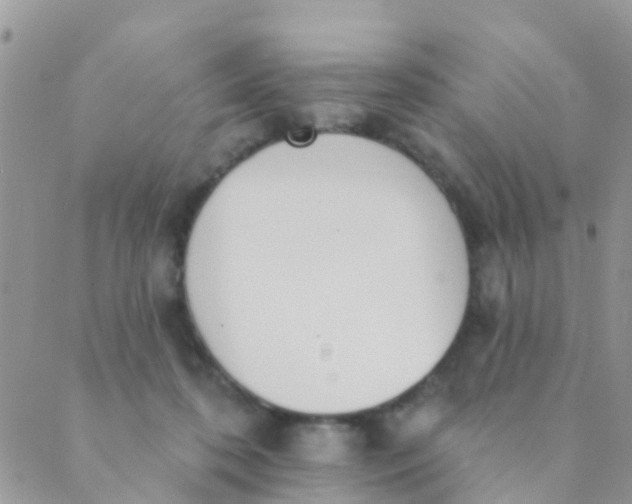 X0000089420316200707061325