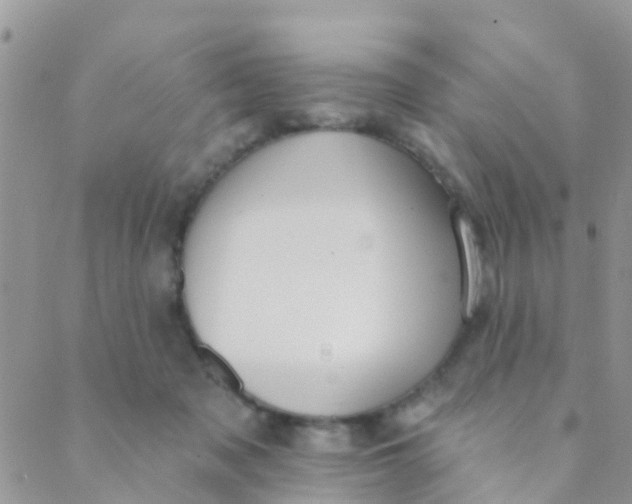 X0000089420317200707061325