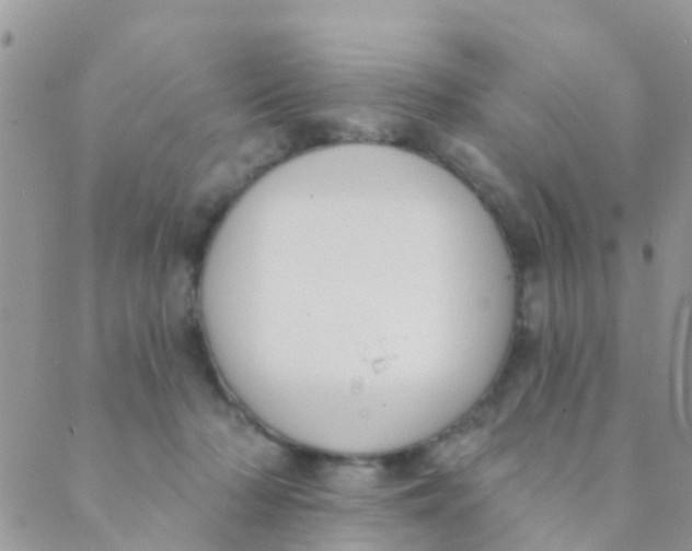 X0000089420318200707061325