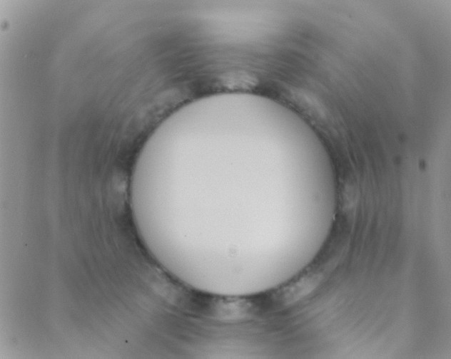 X0000089420321200707061325