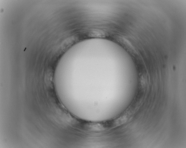 X0000089420322200707061325