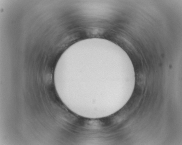 X0000089420324200707061325