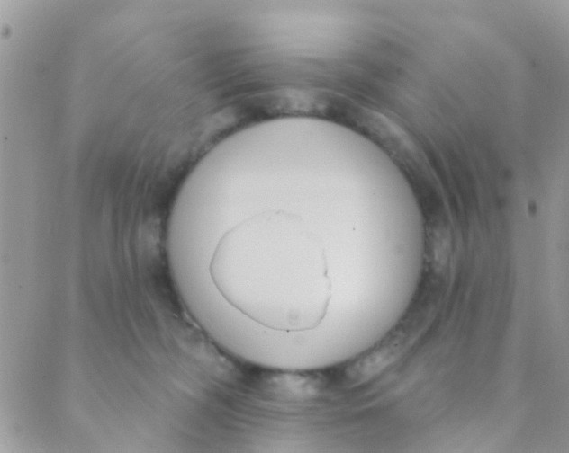 X0000089420326200707061325