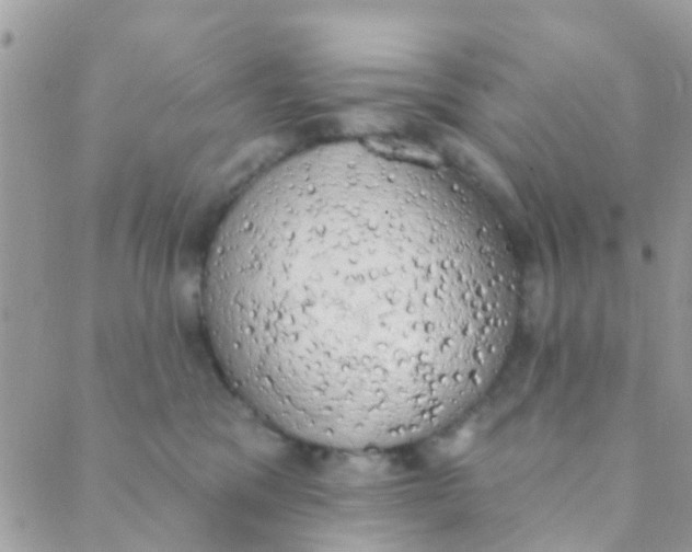 X0000089420329200707061325