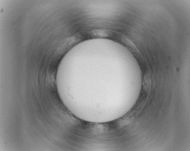 X0000089420330200707061325