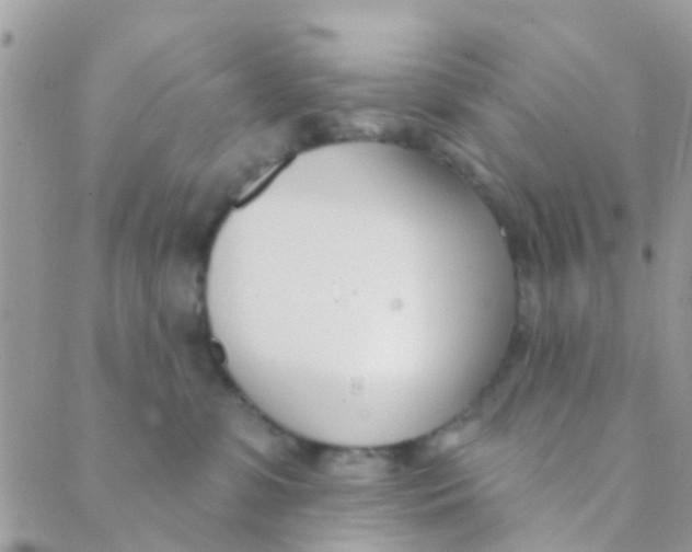 X0000089420331200707061325