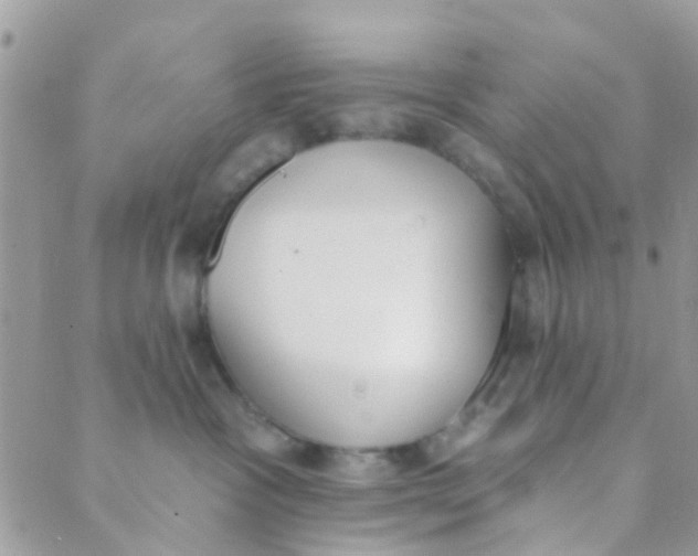 X0000089420333200707061325