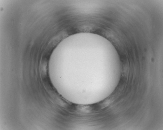 X0000089420334200707061325