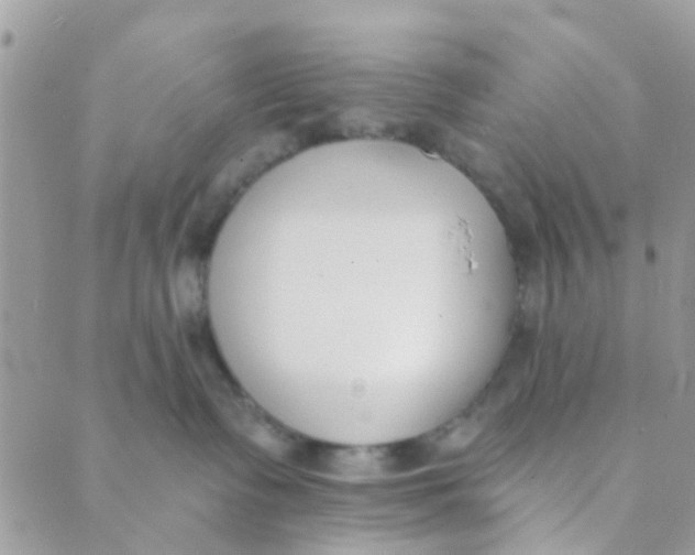 X0000089420335200707061325