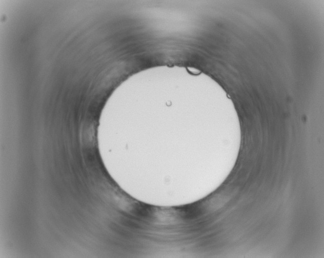 X0000089420336200707061325