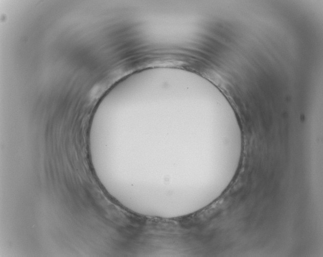 X0000089420337200707061324