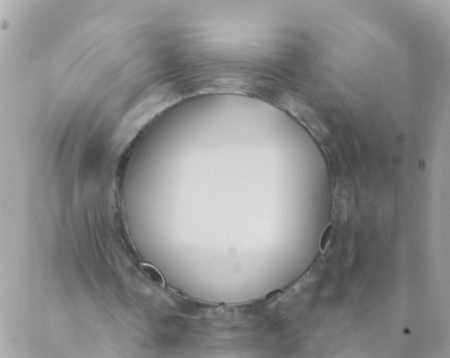 X0000089420338200707061324