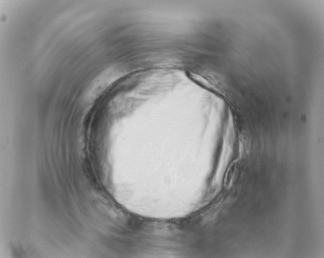 X0000089420339200707061324