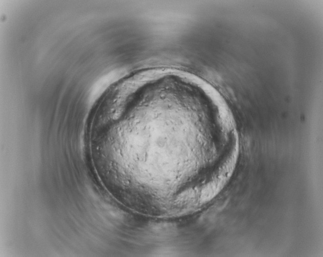 X0000089420340200707061324