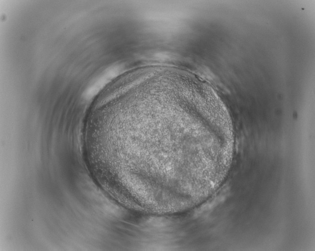 X0000089420341200707061324