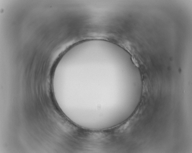 X0000089420342200707061324