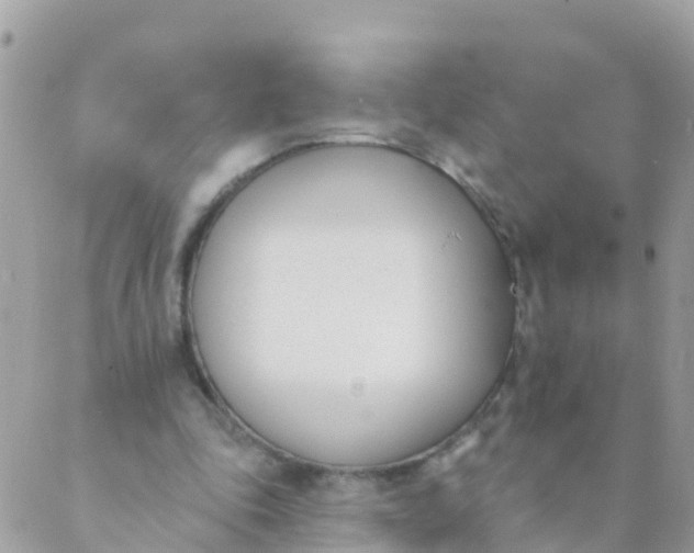 X0000089420343200707061324