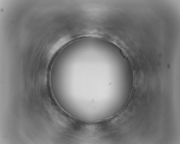 X0000089420344200707061324