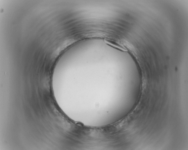 X0000089420345200707061324