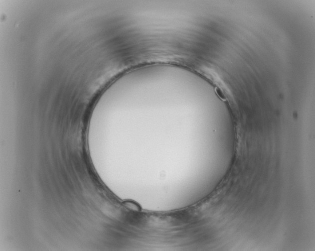 X0000089420346200707061324