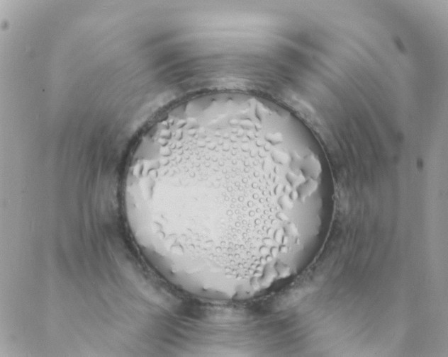 X0000089420347200707061324