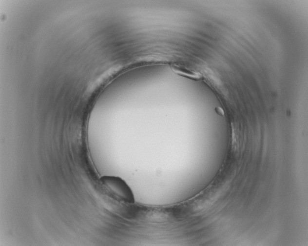 X0000089420348200707061324