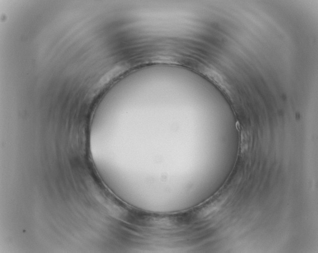 X0000089420349200707061324