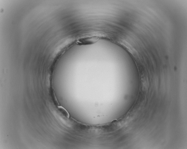 X0000089420350200707061324