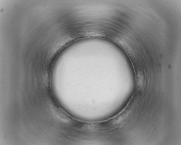 X0000089420351200707061324